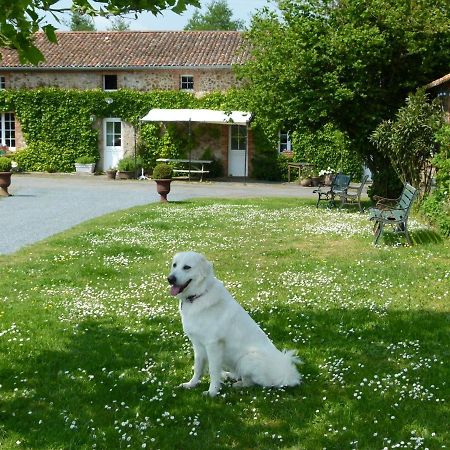 Jolie Tiny House Sous Les Grands Arbres Cholet Exterior foto