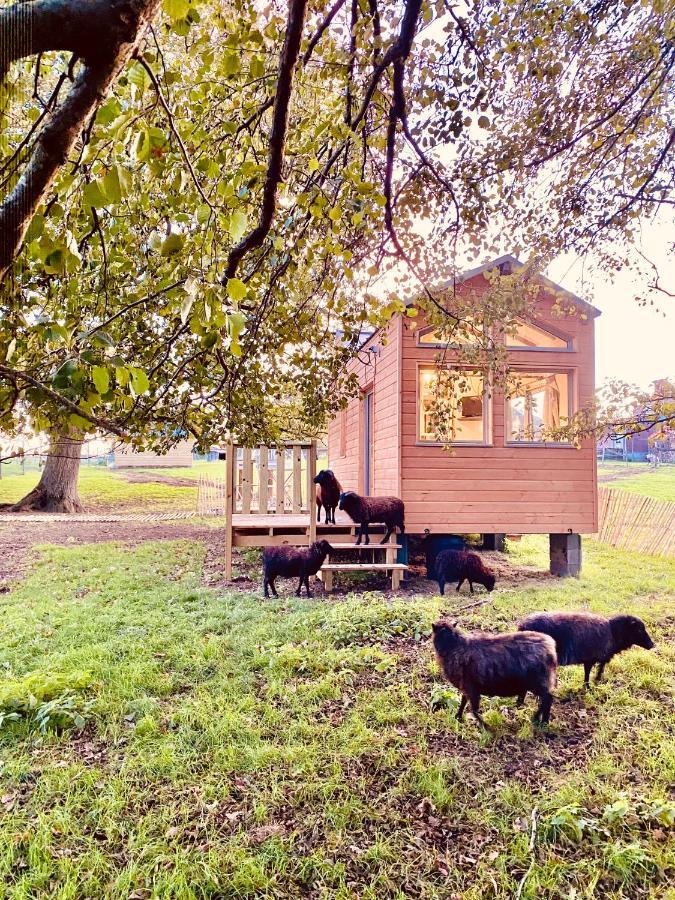 Jolie Tiny House Sous Les Grands Arbres Cholet Exterior foto