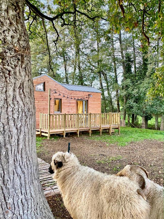 Jolie Tiny House Sous Les Grands Arbres Cholet Exterior foto