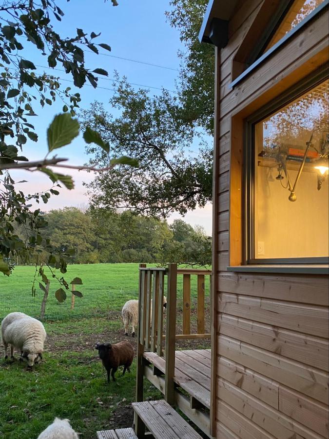 Jolie Tiny House Sous Les Grands Arbres Cholet Exterior foto