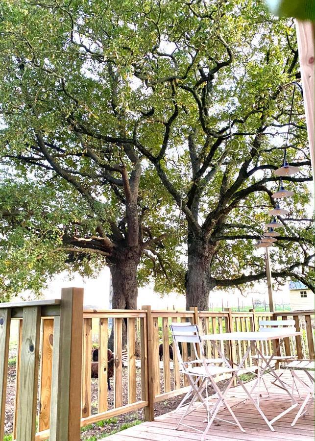 Jolie Tiny House Sous Les Grands Arbres Cholet Exterior foto